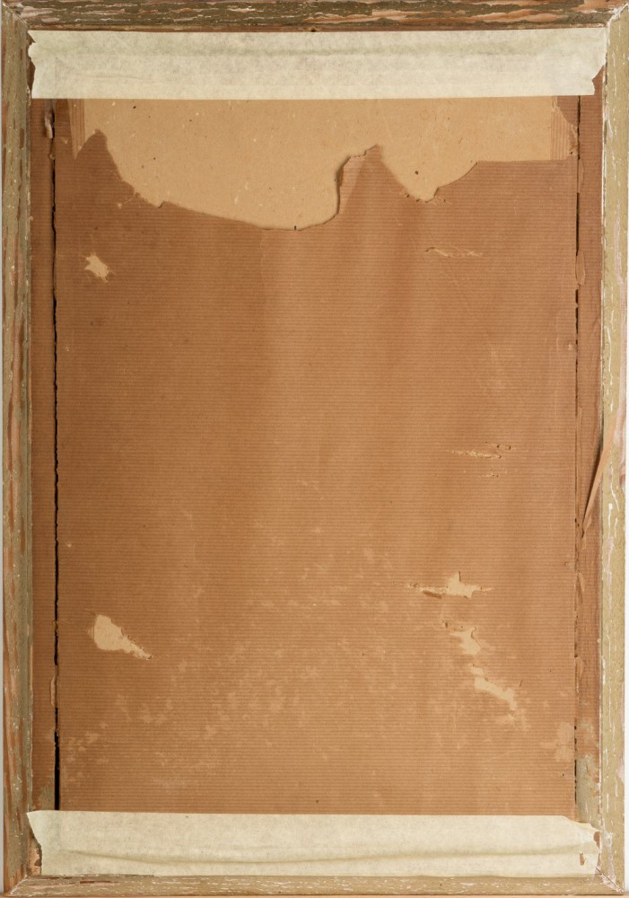 Achille BeltrameParticolare 2