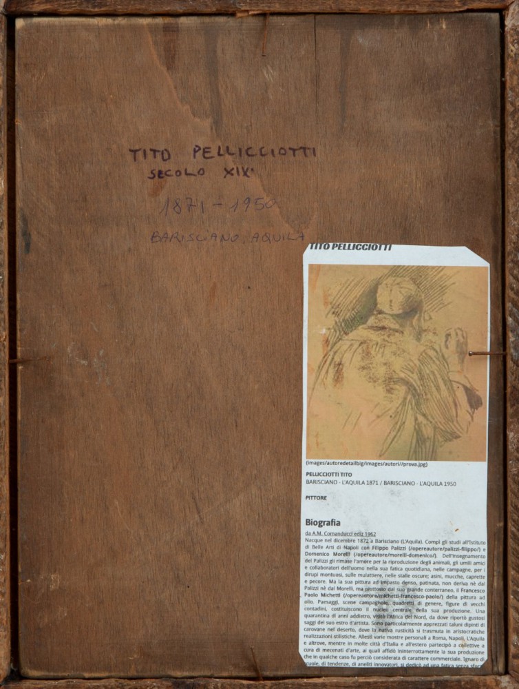 Tito PellicciottiParticolare 2