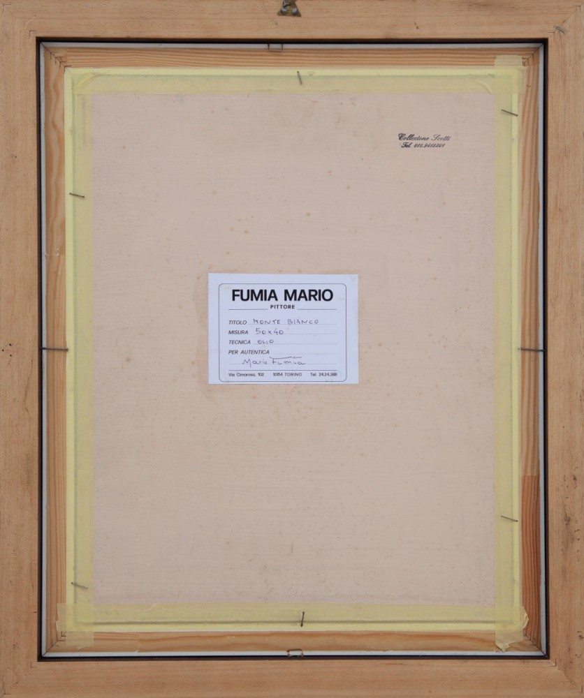 Mario FumiaParticolare 2