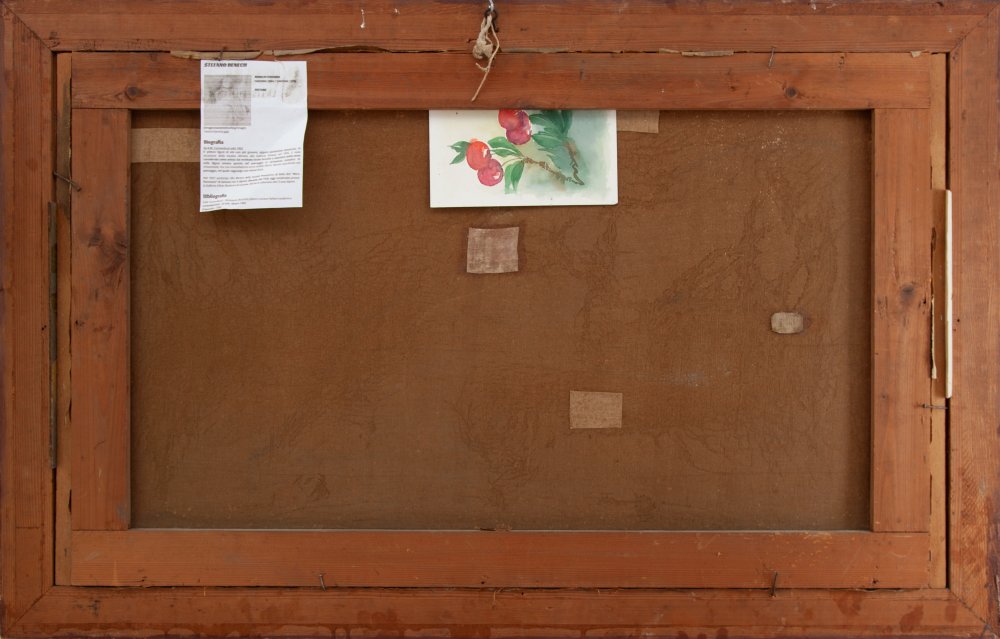 Stefano BenechParticolare 2