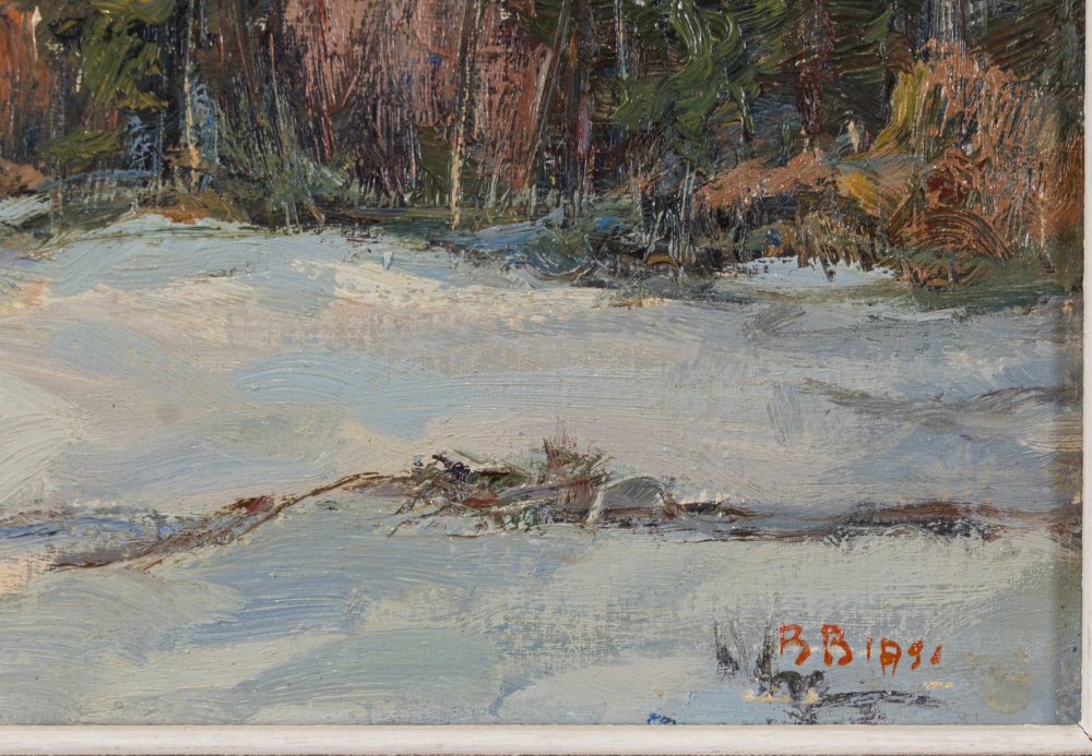 Biagio BiasiParticolare 1