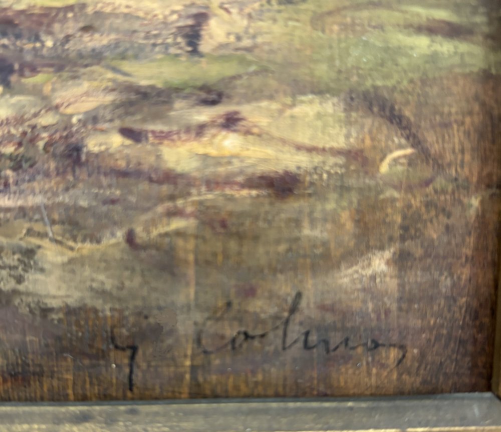 Giovanni ColmoParticolare 1