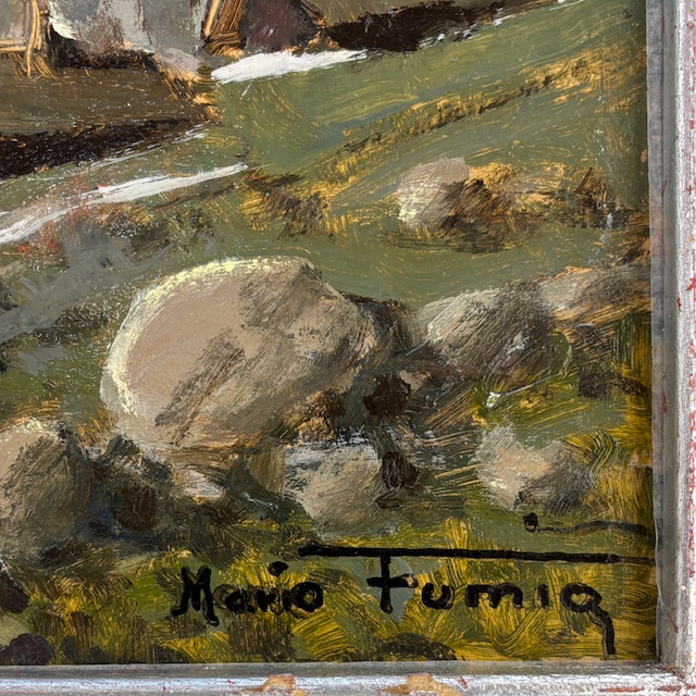 Mario FumiaParticolare 1