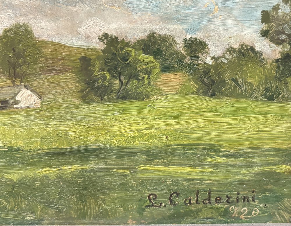 Luigi CalderiniParticolare 1