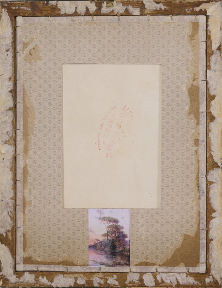 Federico Schianchi Particolare 2