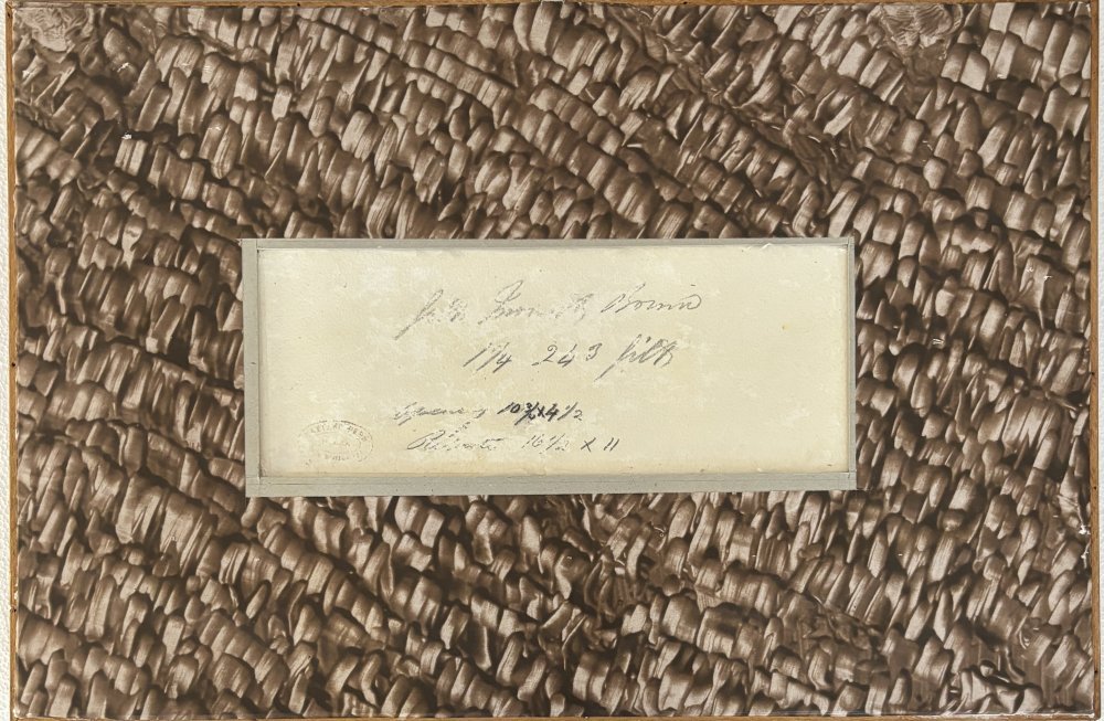 Federico Schianchi Particolare 2