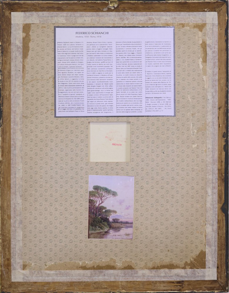 Federico Schianchi Particolare 2