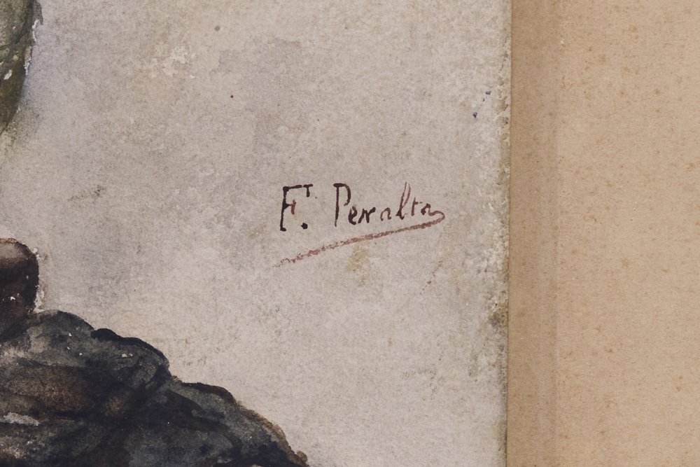 Francisco Peralta del CampoParticolare 1