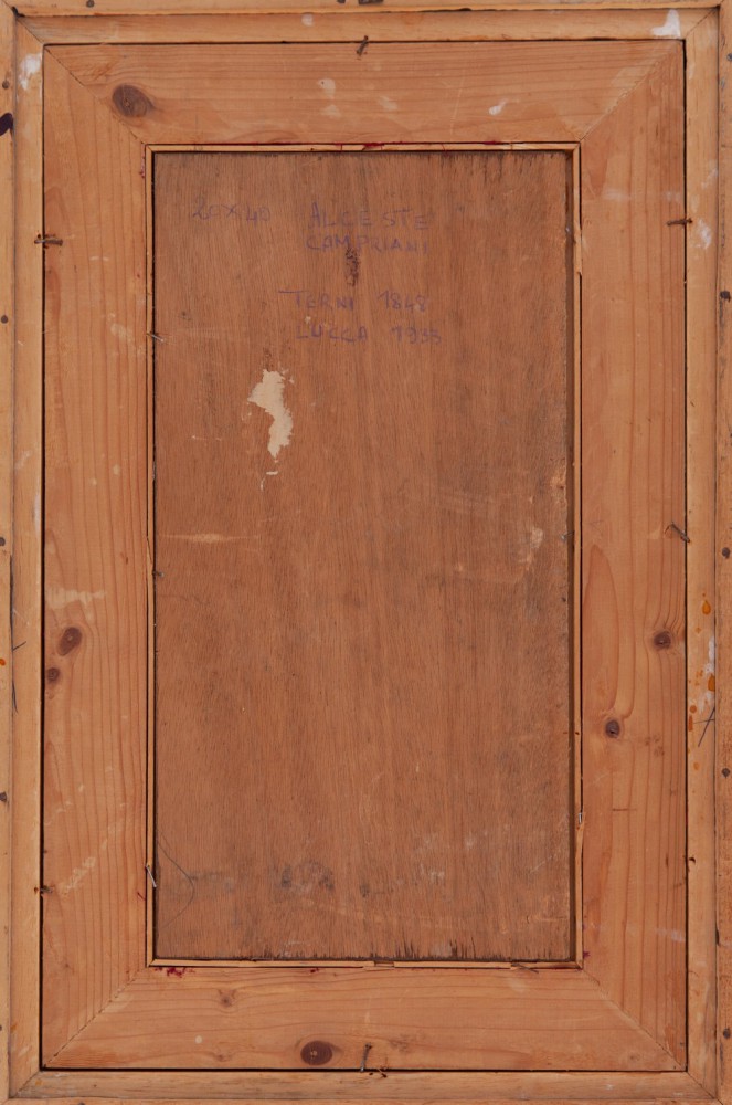 Alceste CamprianiParticolare 2