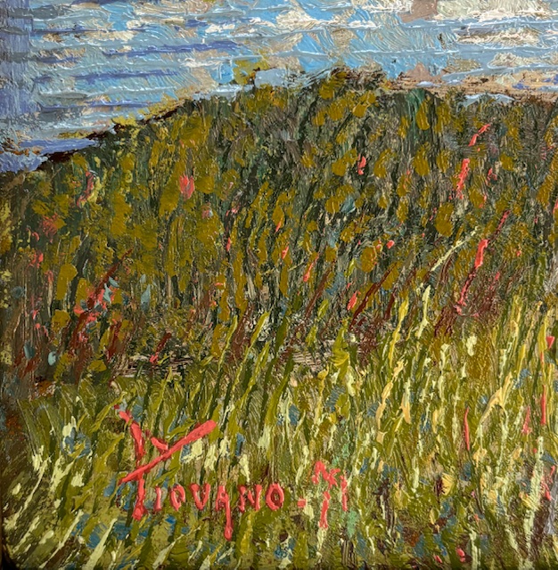 Ferruccio Piovano Particolare 1