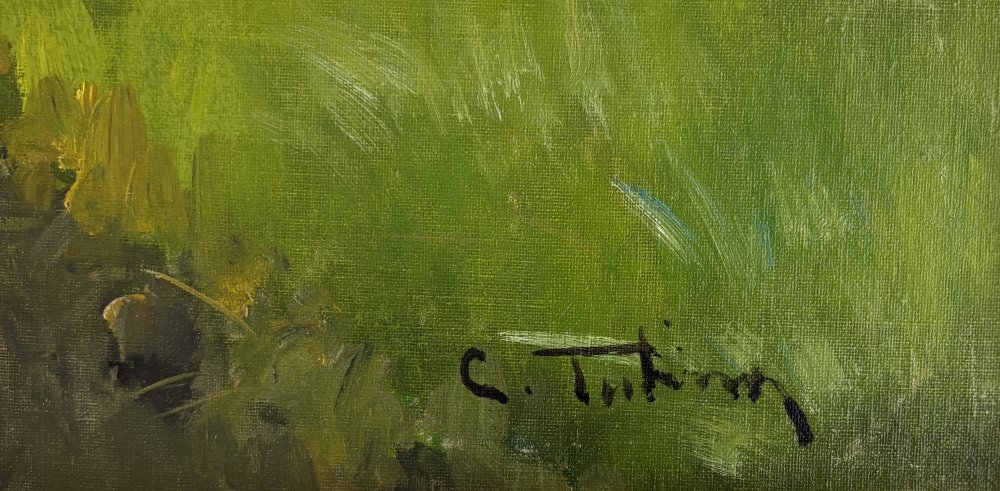 Cesare TubinoParticolare 1