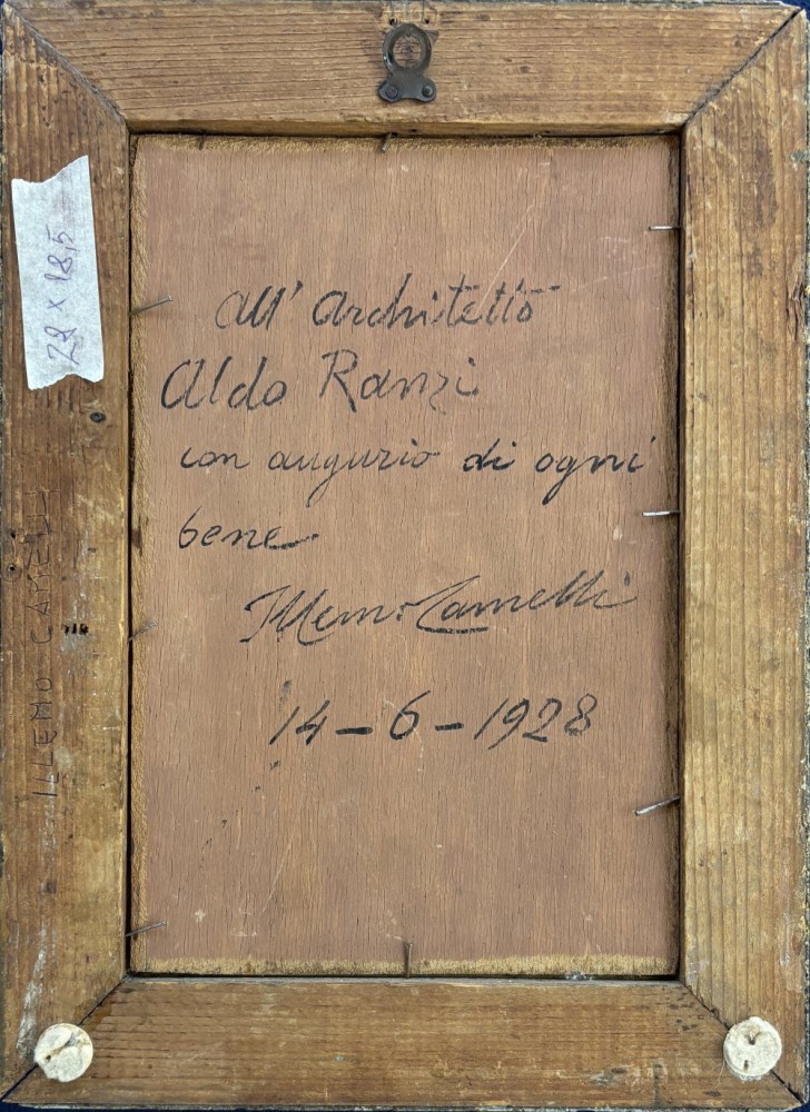 Illemo CamelliParticolare 2