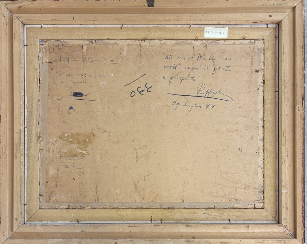 Raffaele CollinaParticolare 2