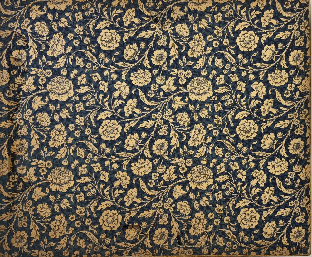 Attilio Andrioli Particolare 1