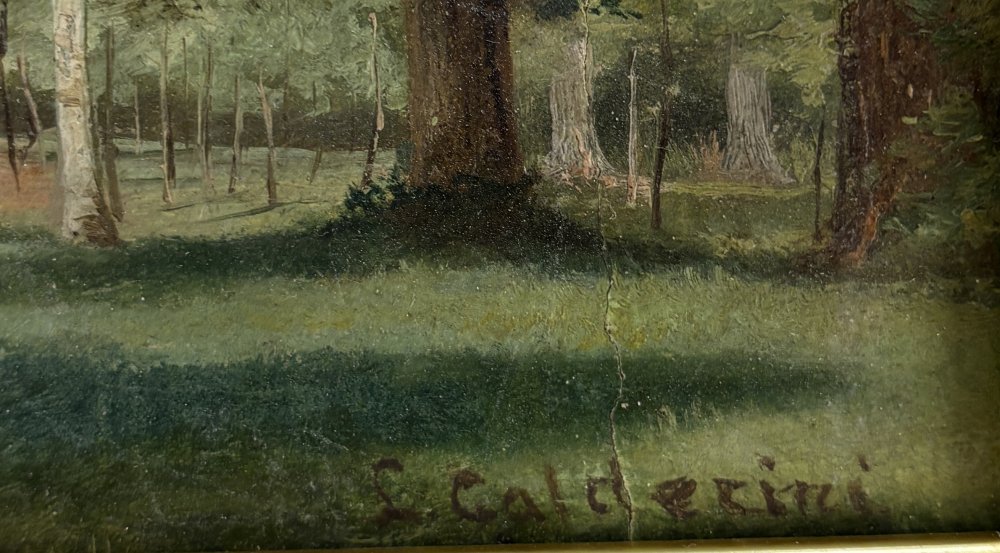 Luigi CalderiniParticolare 1