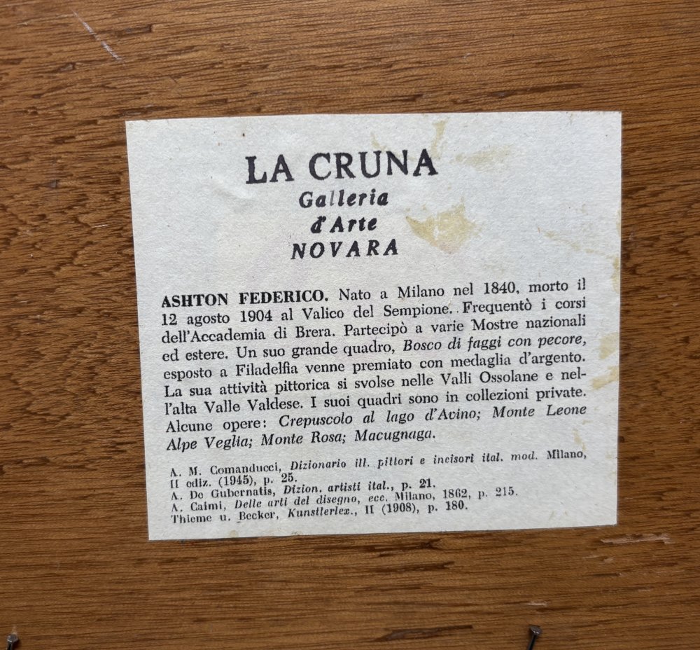 Federico AshtonParticolare 4