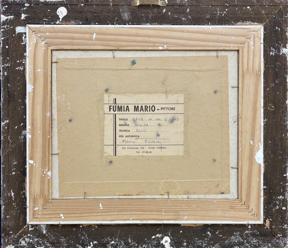 Mario FumiaParticolare 2