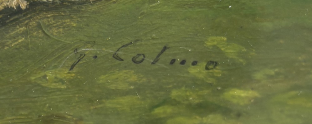 Giovanni ColmoParticolare 1