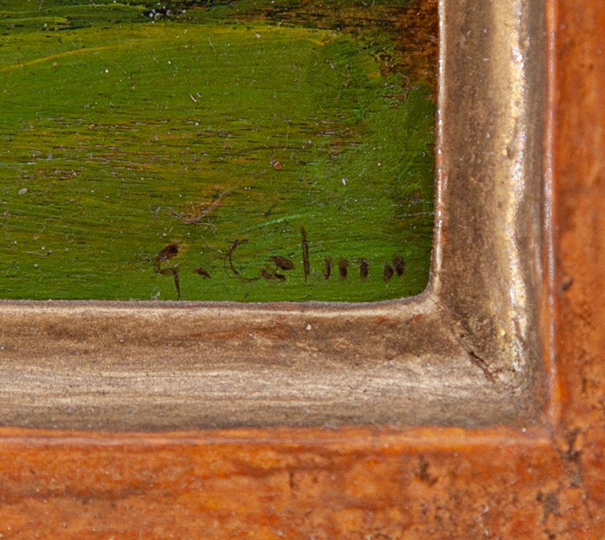 Giovanni ColmoParticolare 1