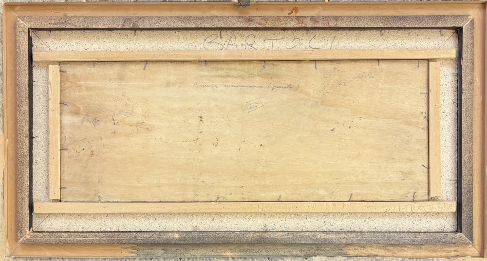 Tullio BartoliParticolare 2