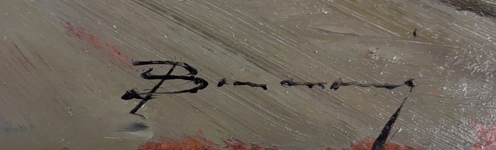 Arturo BonanomiParticolare 1