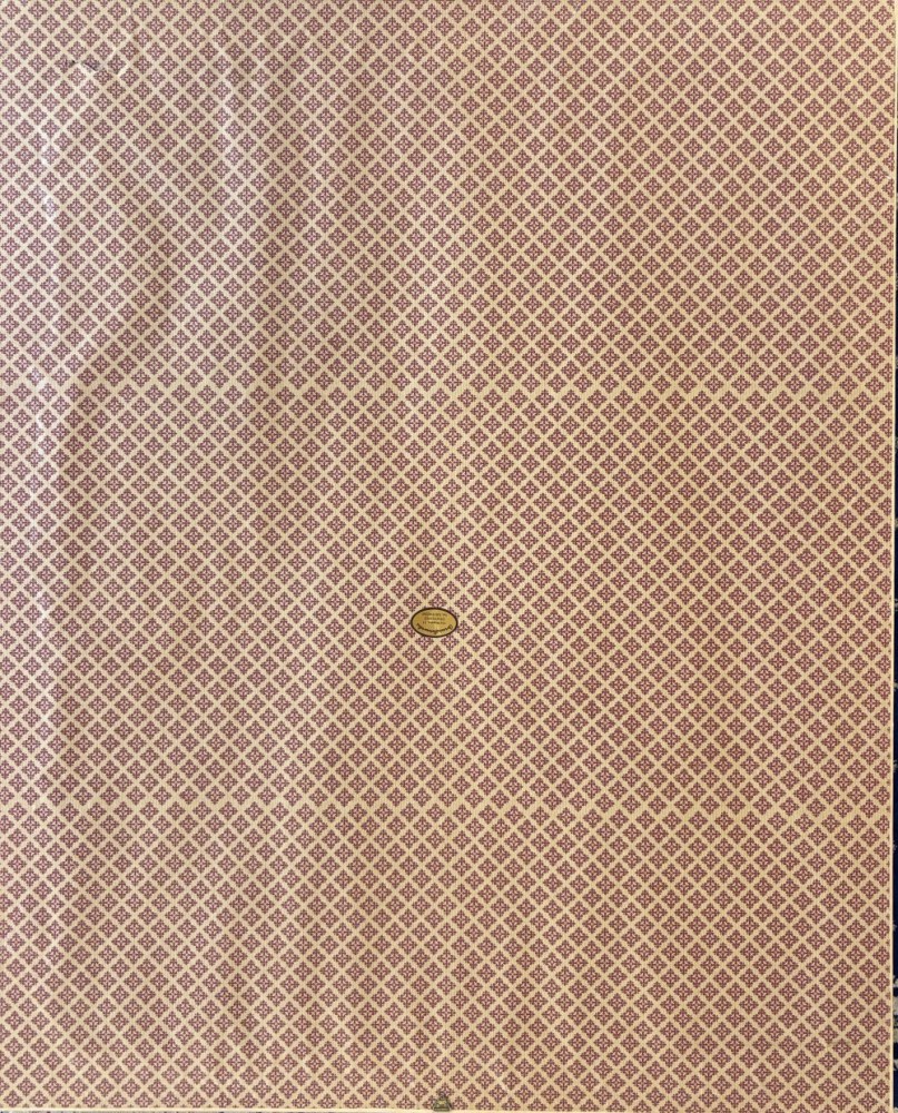 Paolo PunzoParticolare 2