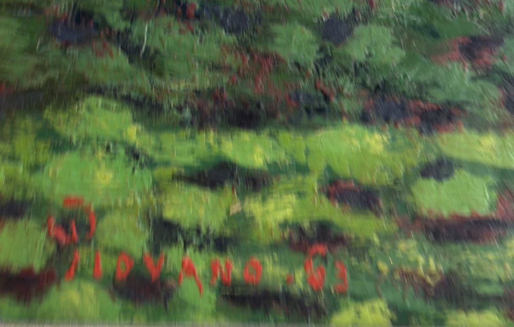 Ferruccio PiovanoParticolare 1