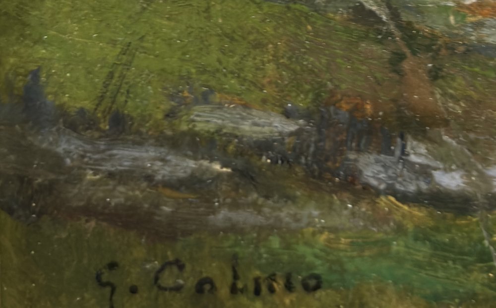 Giovanni ColmoParticolare 1