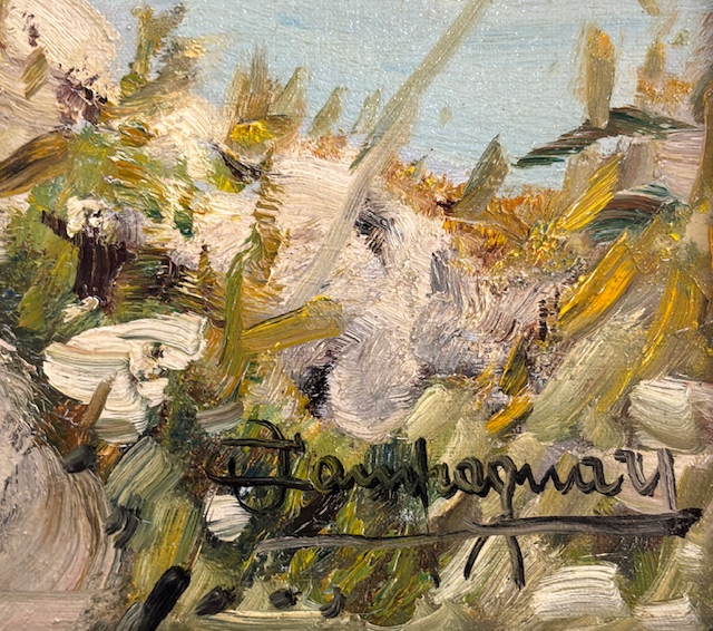 Ottorino CampagnariParticolare 1