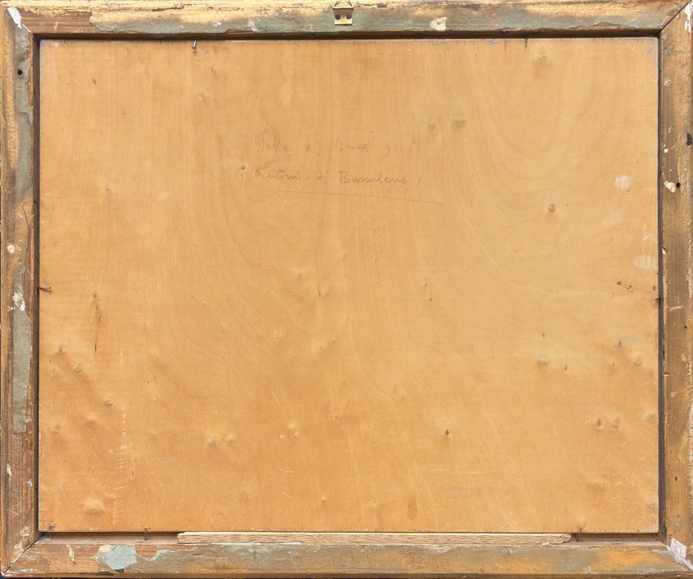 Ottorino CampagnariParticolare 2