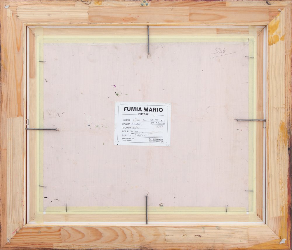 Mario FumiaParticolare 2