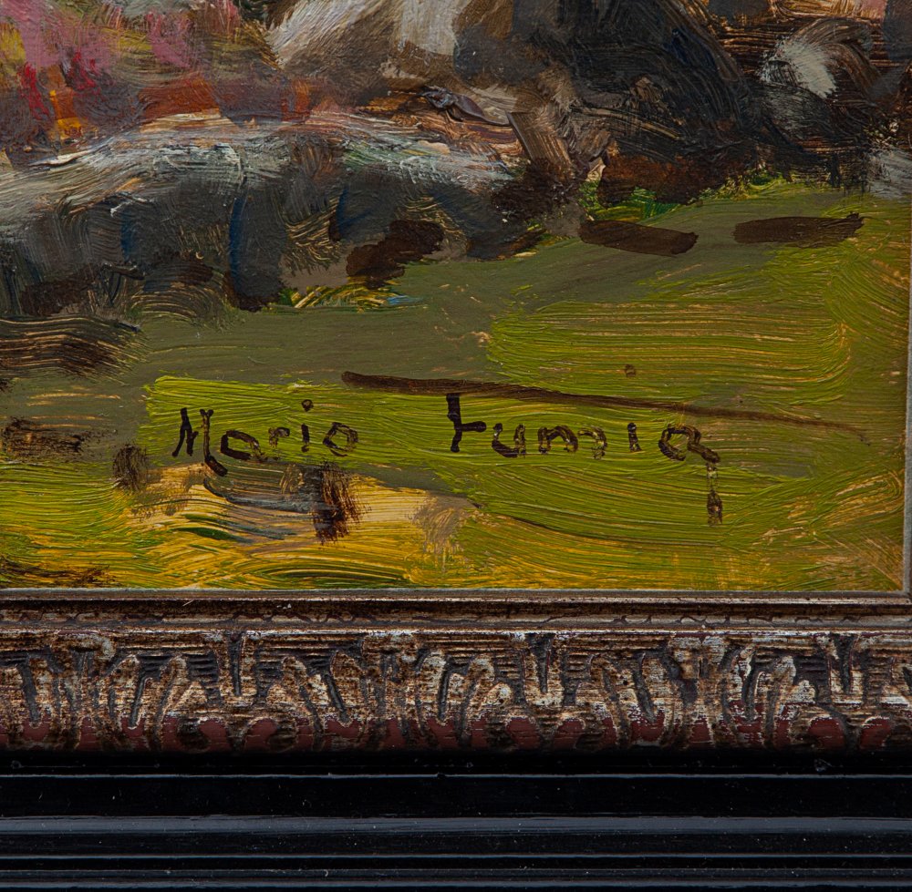 Mario FumiaParticolare 1