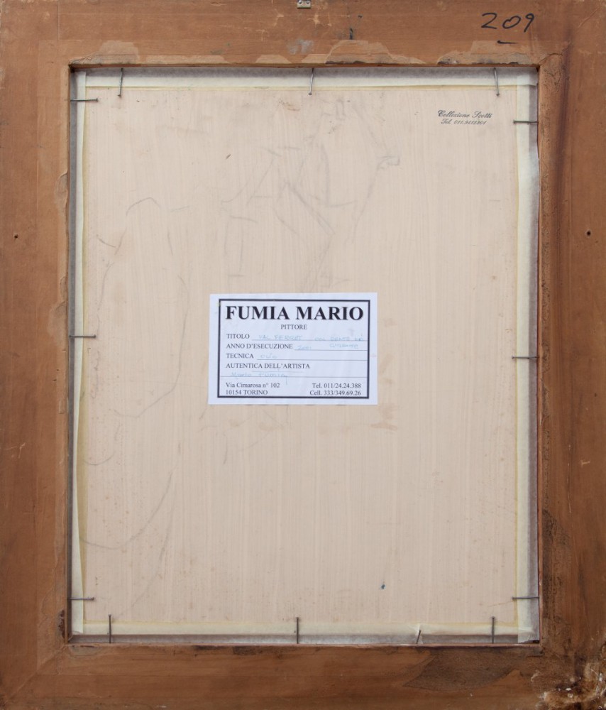 Mario FumiaParticolare 2